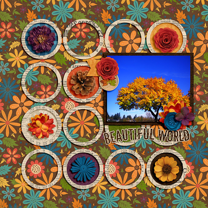 Beautiful World