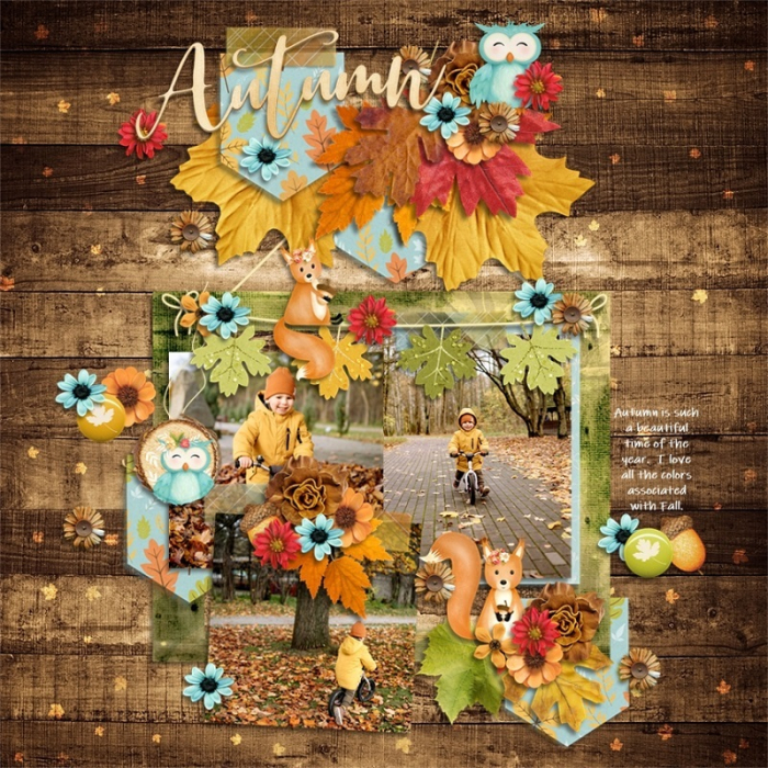 Beautiful_Autumn1