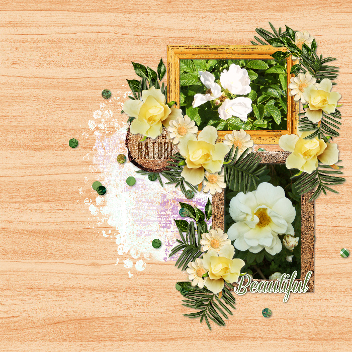 beautiful_roses