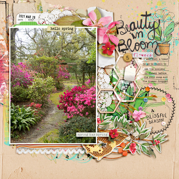 Beauty In Bloom
