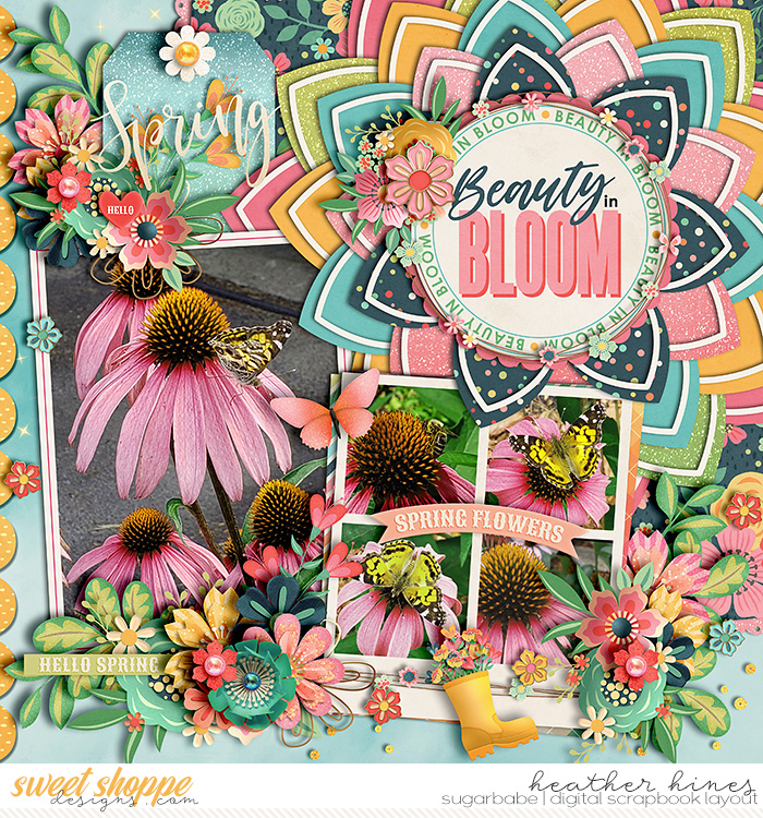 Beauty In Bloom