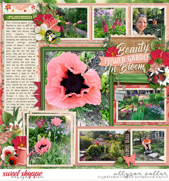 Beauty In Bloom