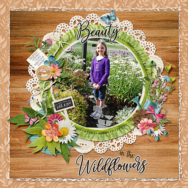 Beauty in the Wildflowers