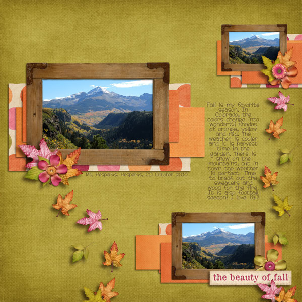beauty of fall