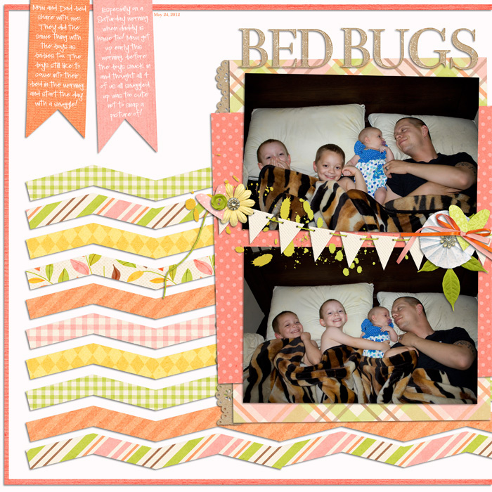 Bed Bugs