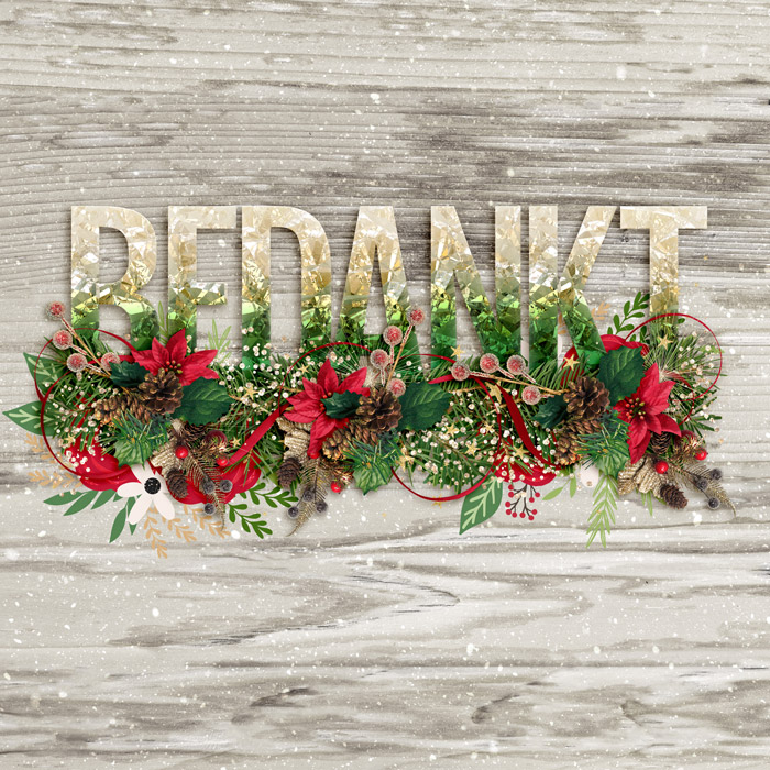 Bedankt (Thank You)