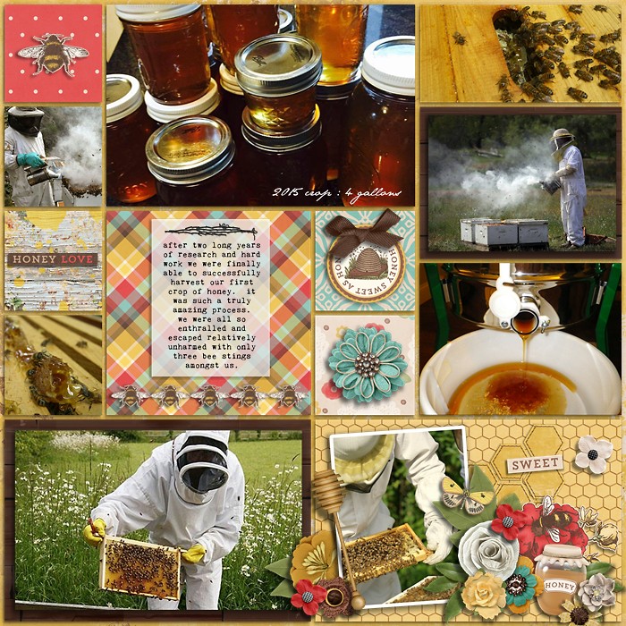 bee keeping