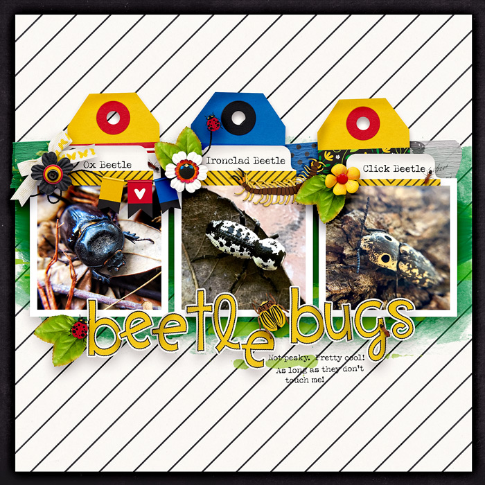 BeetleBugs