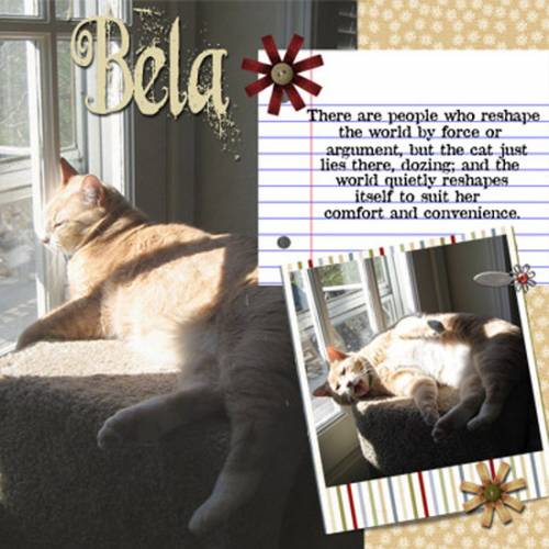 Bela