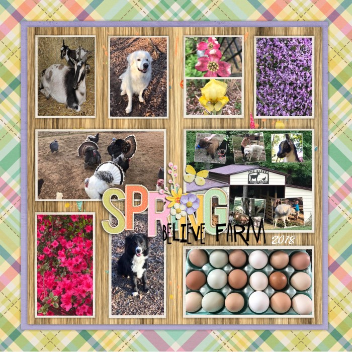 Believe Farm