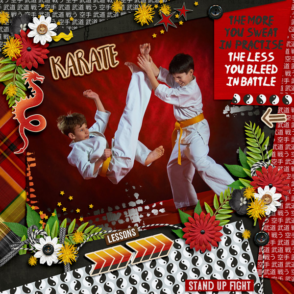 Belt promotion