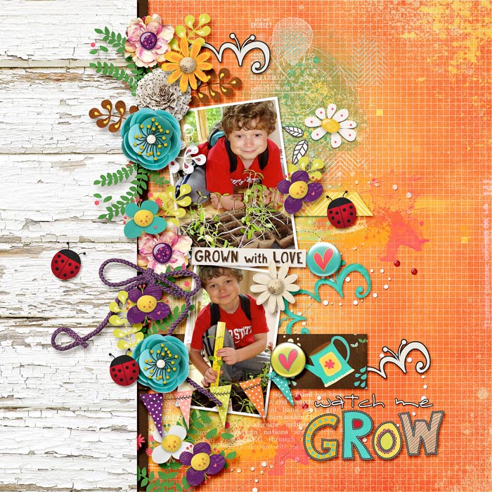 Ben Grow