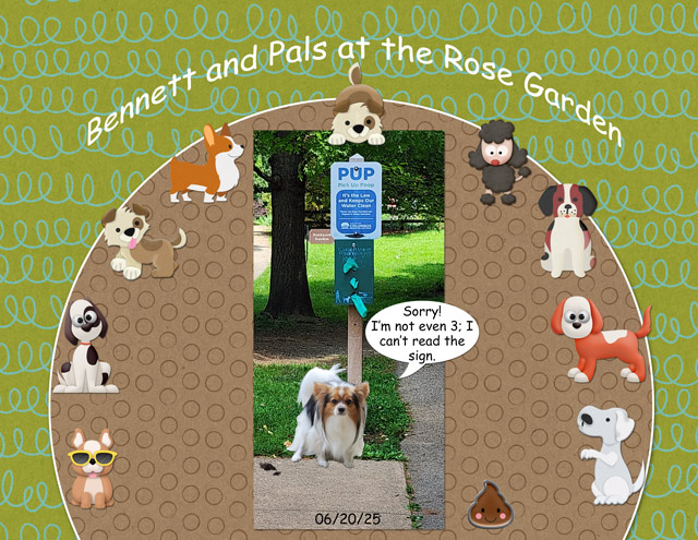 Bennett and Pals at the Rose Garden