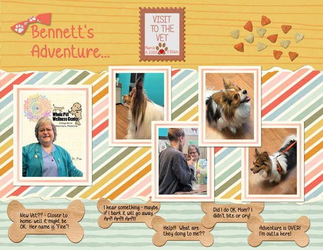 Bennett's-Adventure.jpg