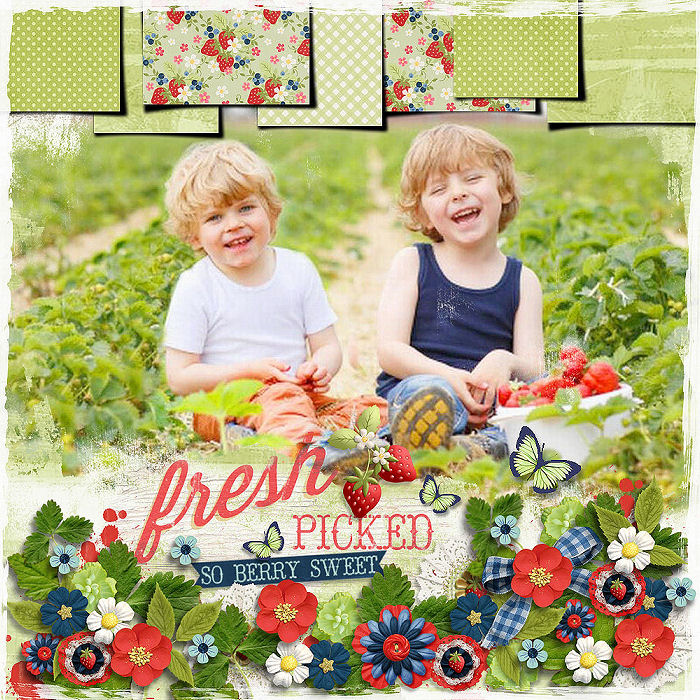 Berry Picking