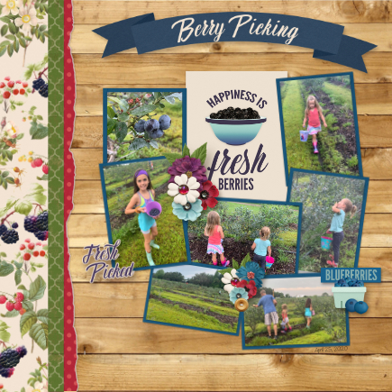 Berry Picking
