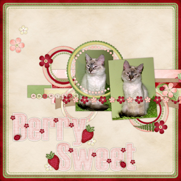Berry Sweet - Pebbles