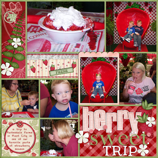 Berry Sweet Trip