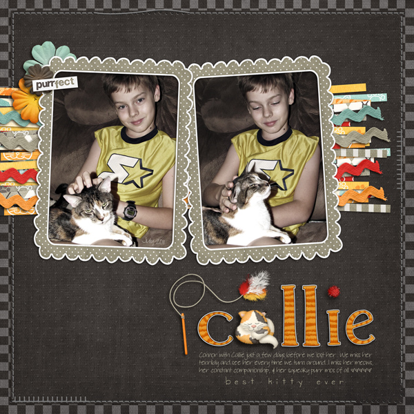 Best Kitty Ever
