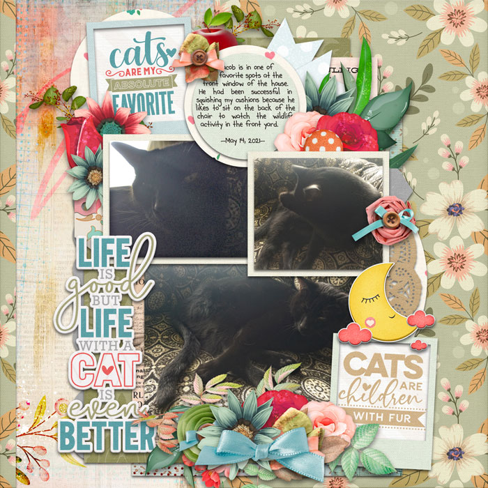 Better With A Cat