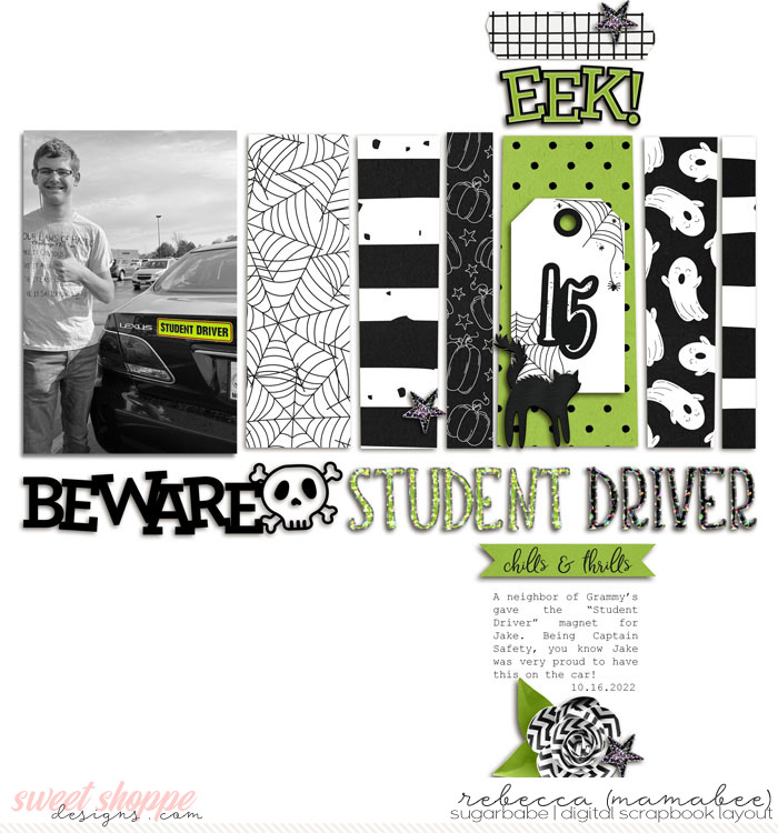 Beware Student Driver