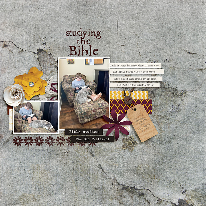 Bible Study