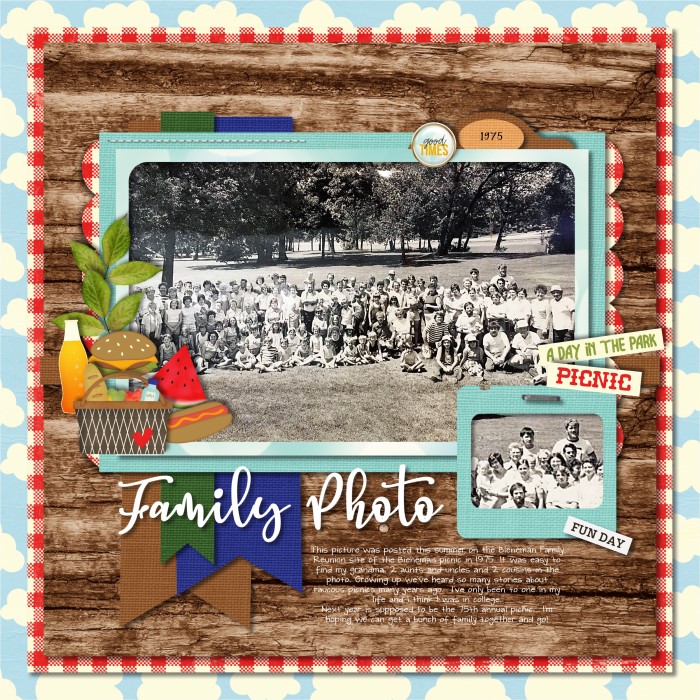 Bieneman Picnic