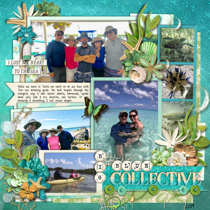 Big Blue Collective