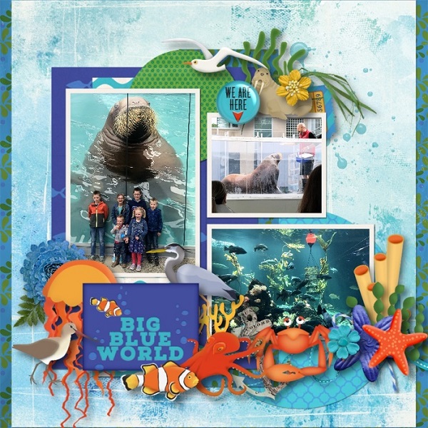 Big Blue World