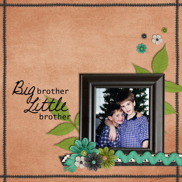 Big Brother Little Brother