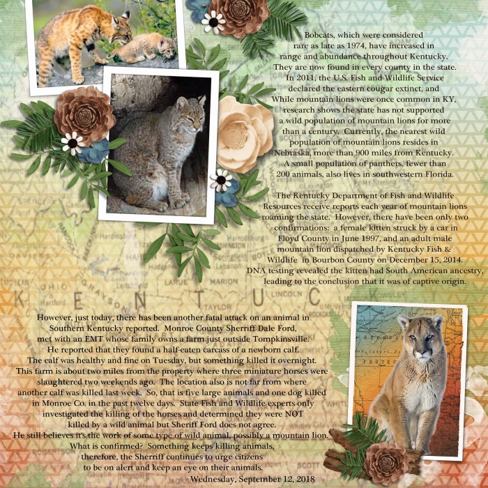 Big Cats in Kentucky 2