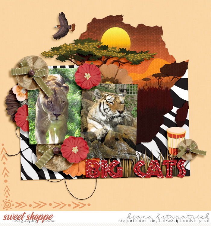 Big Cats