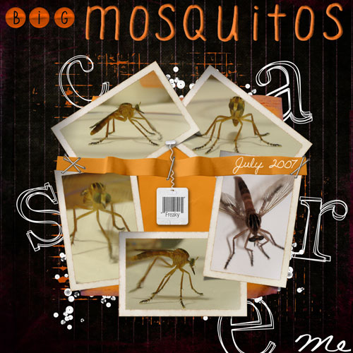 Big Mosquitos