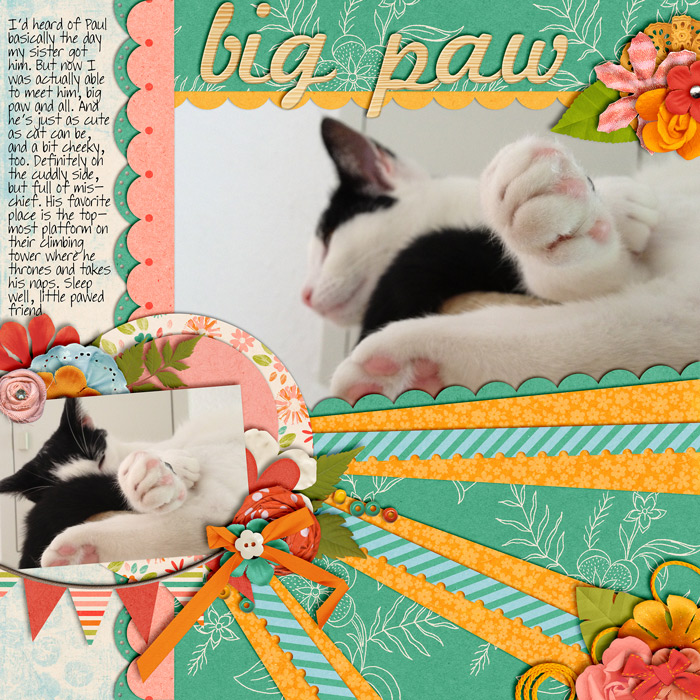 Big Paw