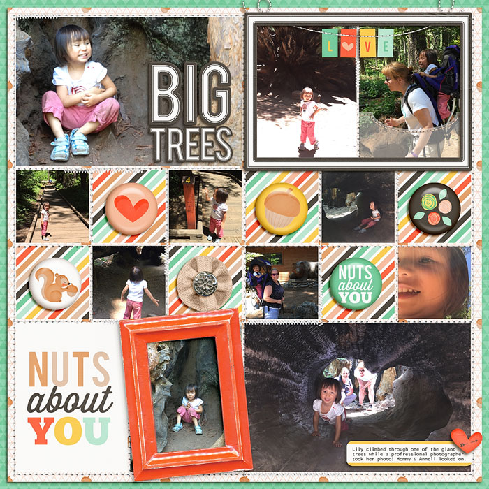 Big Trees: Nuts About You