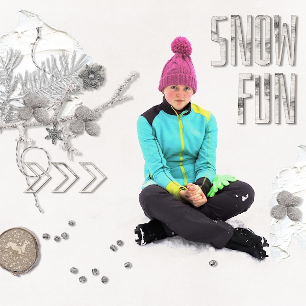Bingo 23 - snow games