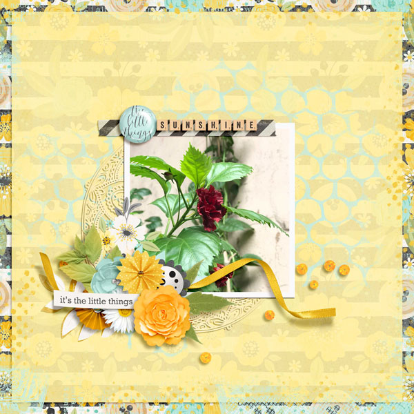 Bingo # 4 Buds and Blooms