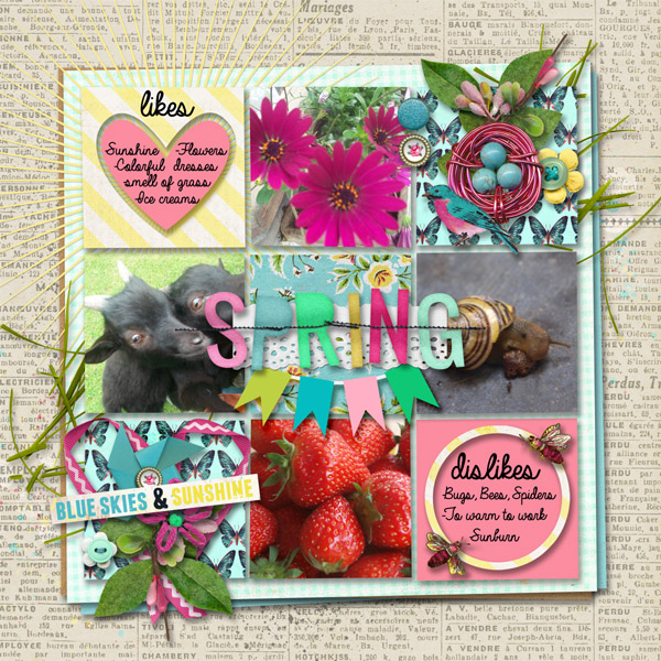 Bingo Apr15:'Likes vs Dislikes: Spring'
