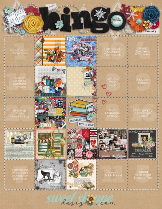 Bingo Challenge Jan 2017