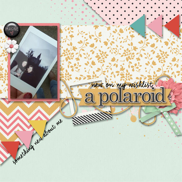 Bingo Dec24: 'Wishlist:Polaroid'