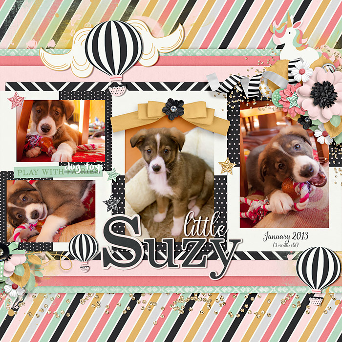 Bingo Jan 2016 - Little Suzy