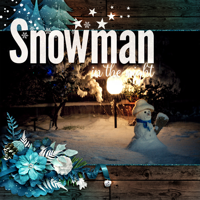Bingo Jan 2016 - Snowman in the night