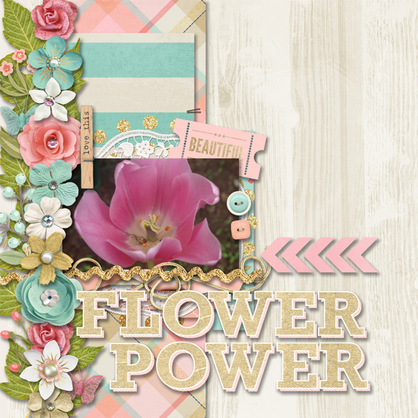 Bingo May24: 'Flower Power'