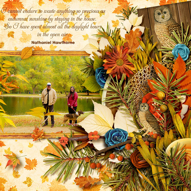 Bingo Sept 2015 - Autumn quote