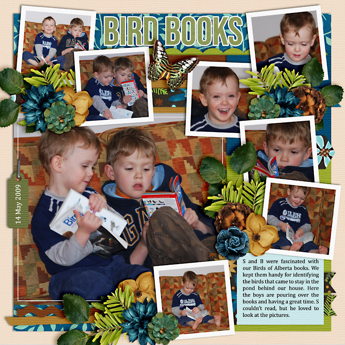 Bird Books