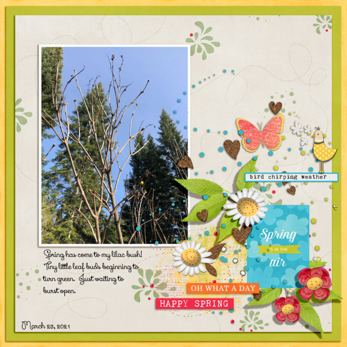 Bird Chirping Weather
