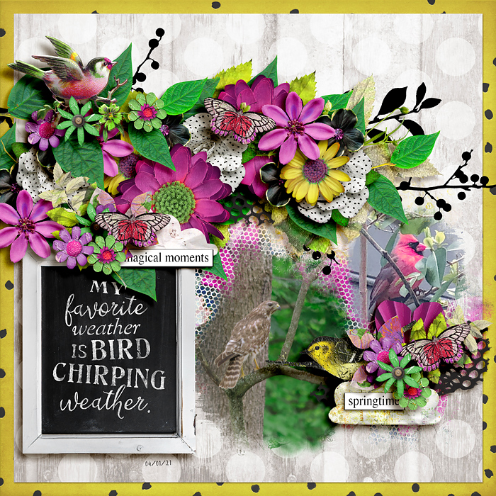 Bird chirping