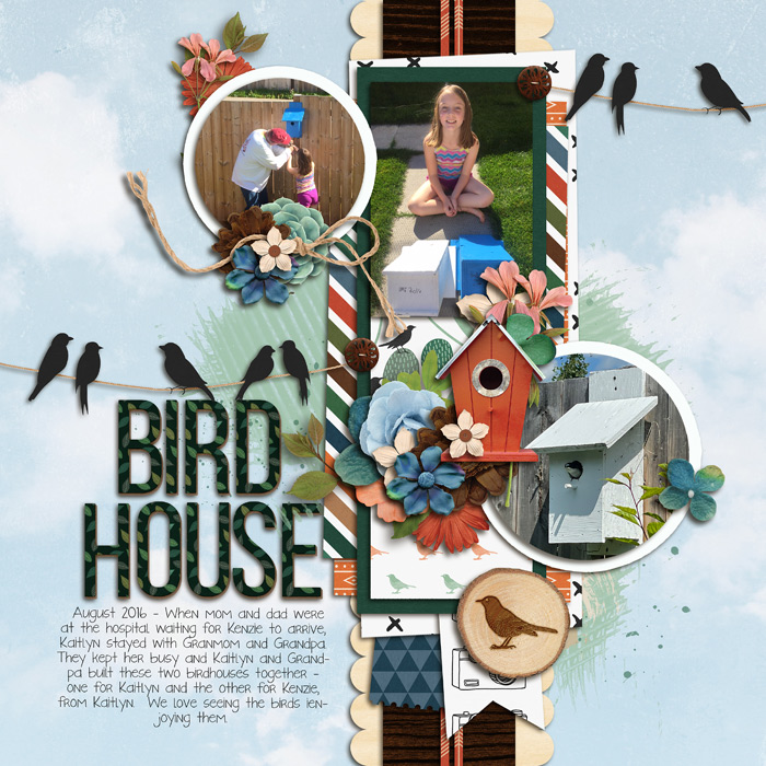Bird House