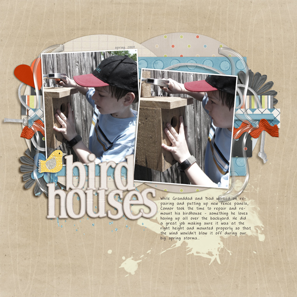 Bird Houses