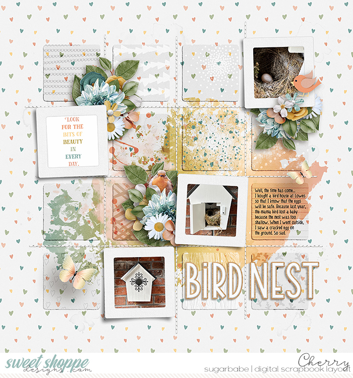 Bird Nest